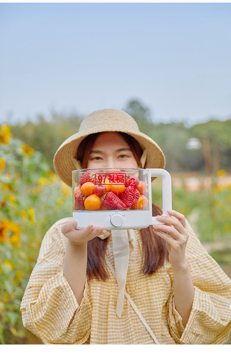 養(yǎng)生鍋煲湯電鍋電煮鍋多功能鍋燕窩燉盅養(yǎng)生壺燉鍋